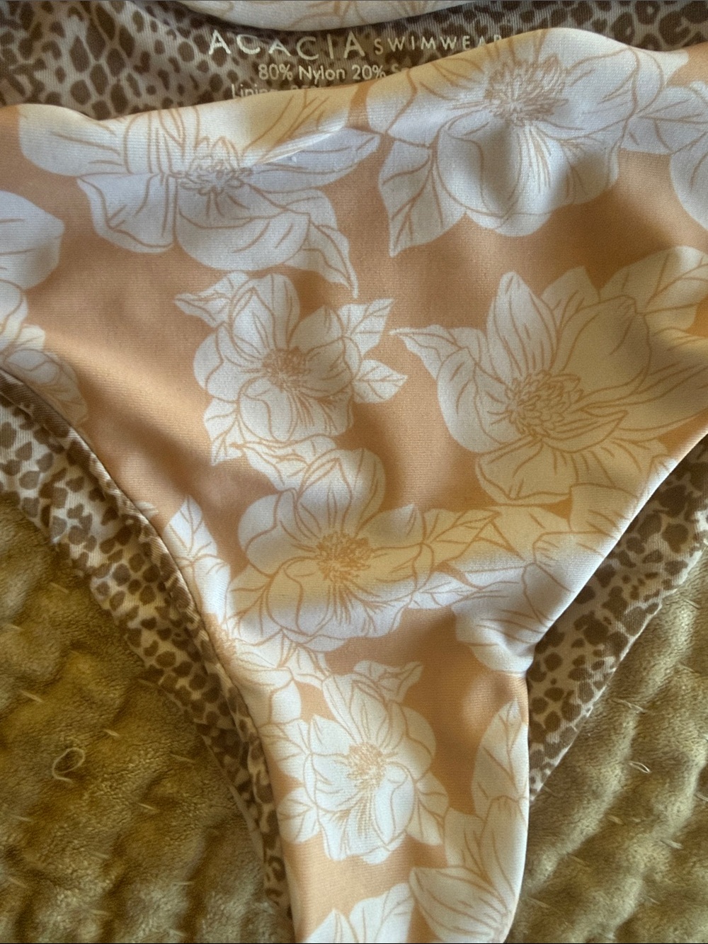 Acacia bikini - Picture 4 of 8